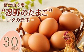 富士山の恵“忍野のたまご“‐コクの赤玉‐30個入　KC001