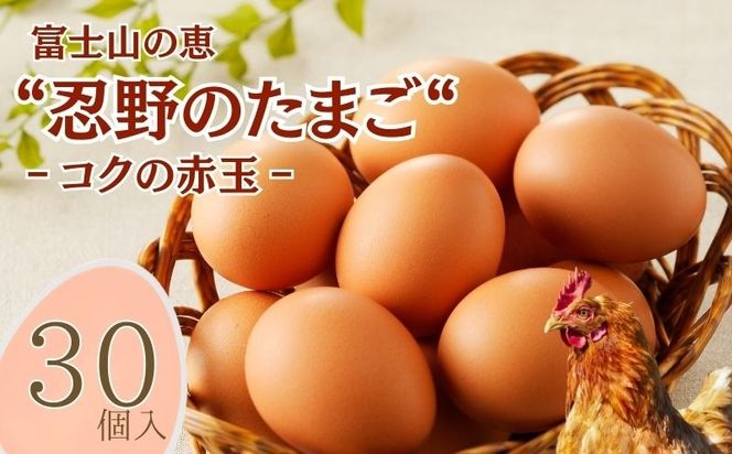 富士山の恵“忍野のたまご“‐コクの赤玉‐30個入　KC001