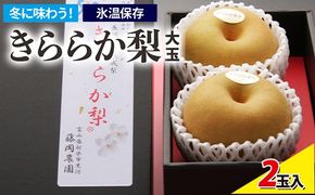 冬に味わう！藤岡さんが作った氷温保存きららか梨（幸水・豊水）2玉【大玉】 ｜ 梨 ナシ 果物 フルーツ　※2025年11月下旬～2026年4月上旬頃に順次発送予定　※離島への配送不可