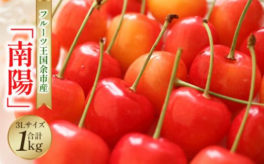 2026年発送【先行予約】令和8年産 南陽【3Lサイズ】500g×2【ニトリ観光果樹園】余市 北海道 フルーツ王国 さくらんぼ サクランボ 桜桃 南陽 余市産さくらんぼ 人気さくらんぼ ニトリ_Y074-0142
