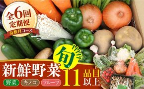 【6回定期便 奇数月コース】野菜 キノコ 果物 11品目 詰め合わせ / 南島原市 / 吉岡青果 [SCZ005]