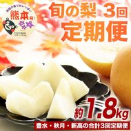 定期便3回 梨 約1.8kg×3回 計約5.4kg 豊水 秋月 新高 8月～10月出荷【梨 なし 果物 フルーツ デザート 食後 熊本県産】※配送不可：離島