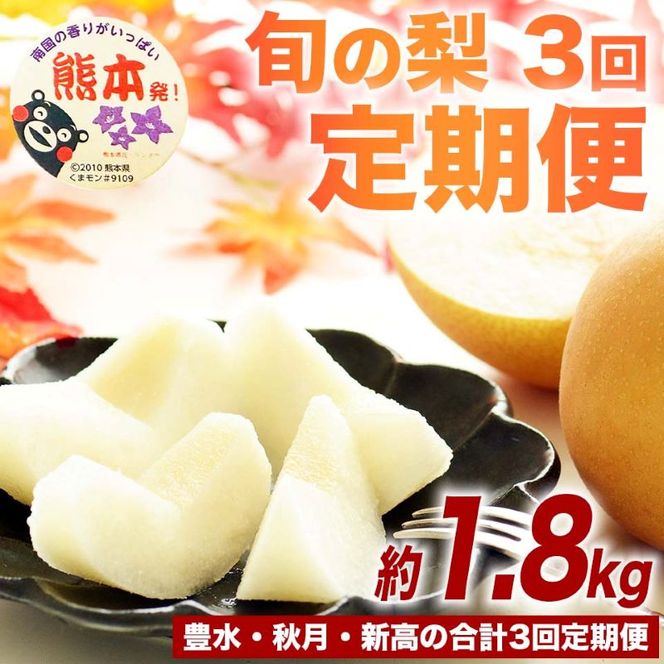 定期便3回 梨 約1.8kg×3回 計約5.4kg 豊水 秋月 新高 8月～10月出荷【梨 なし 果物 フルーツ デザート 食後 熊本県産】※配送不可：離島