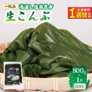 【スピード発送】 塩蔵 生こんぶ 1袋（800g） [honda004_1]