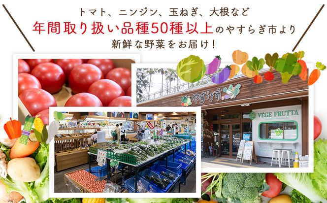 【2026年３月以降順次発送】新玉ねぎ ５ｋｇ 家庭用 yr-0079