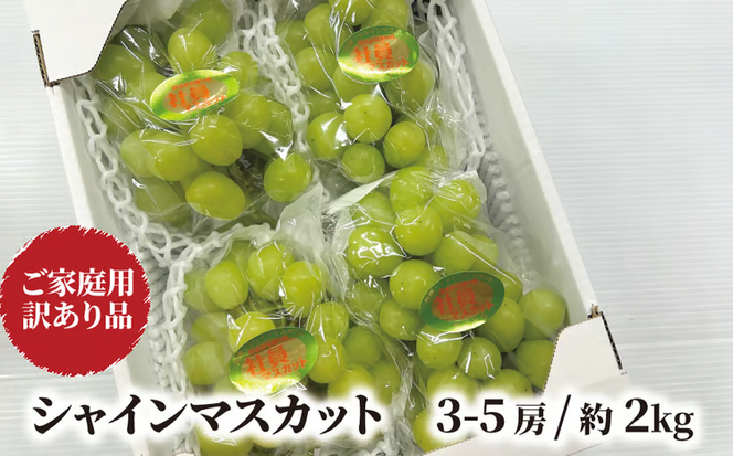 【2026年先行予約】訳ありだけど、甘～いシャインマスカット/約2kg (岡山県産) 【KF-B020-03】