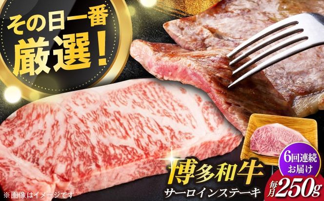 【全6回定期便】【厳選部位使用！】博多和牛サーロインステーキ250g×1枚《築上町》【株式会社MEAT PLUS】[ABBP046]