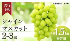 《 先行予約 》 シャインマスカット 2～3房 ( 約 1.5kg )  贈答用 【2026年8月下旬頃発送開始】 ( 共通返礼品：下妻市 )フルーツ 果物 マスカット ぶどう 葡萄 ブドウ 旬 国産 産地直送 化粧箱 ギフト 【石﨑ぶどう園】 [DT002us]