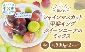 【来年（2026年/令和8年）発送＜先行予約＞】【ご家庭用つぶつぶ】ぶどう3種　約1㎏　先行予約 先行 予約 山梨県産 産地直送 フルーツ 果物 くだもの ぶどう ブドウ 葡萄 シャイン シャインマスカット 新鮮 人気 おすすめ 国産 山梨 甲斐市 AV-40