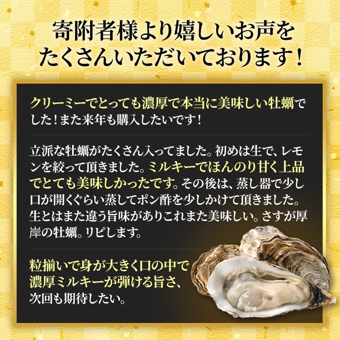 北海道厚岸産 生食用 殻付カキ LLサイズ  12個　マルえもん 魚貝類 海の幸 海のミルク 海鮮 国産 北海道産 オイスター つまみ お酒 あて 肴 生牡蠣 メルマガ掲載商品1
