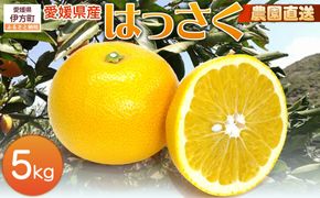 【栽培期間中農薬不使用】【先行受付】【数量限定】農園直送！愛媛県産 はっさく 5kg （2026年2月下旬頃より順次発送） IKTG023