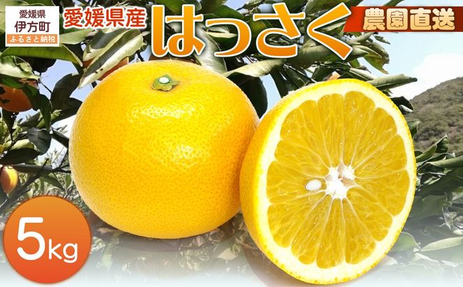 【栽培期間中農薬不使用】【先行受付】【数量限定】農園直送！愛媛県産 はっさく 5kg （2026年2月下旬頃より順次発送） IKTG023