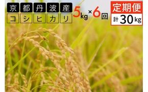 【1月発送】【定期便】令和7年産 新米 5kg 6ヶ月 京都丹波産 コシヒカリ 白米＜JA京都 たわわ朝霧＞ 6回定期便 5kg×6回 計30kg 毎月発送に合わせて精米 米 コメ お米 精米 こしひかり ごはん