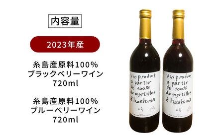 2023年産 糸島産ブルーベリー・ブラックベリーワイン 720ml×2種セット 糸島市 / HYM FARM ワイン ブルーベリー [AHM002] ワイン ブルーベリー ブラックベリー 720ml セット 果実酒 フルーツ