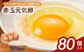 【山ちゃん家の生みたて葉酸たまご】赤玉元気卵（80個入り）［132Y07］