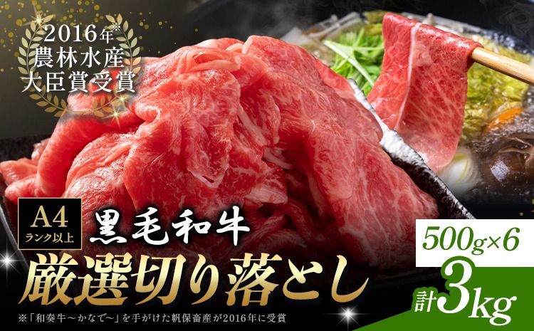 厳選 くまもと黒毛和牛 切り落とし 3kg ( 500g×6パック ) [30日以内に出荷予定(土日祝除く)]熊本県 大津町 和牛焼肉LIEBE くまもと黒毛和牛 切り落とし 冷凍 リーベ ---so_fliekiri_30d_r8_46000_3kg---