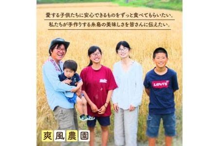 にんにく 1kg 数量限定《糸島》【爽風農園】【いとしまごころ】[AHZ002]