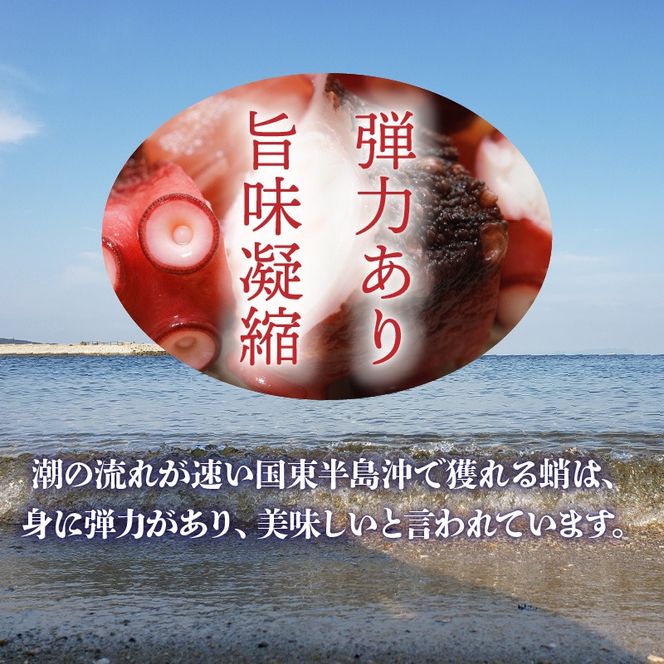 テレビで紹介されました！ 漁師が作る本格派！にんにく醤油味のたこ唐揚げ 245g×4袋/0.98kg_29241A-1