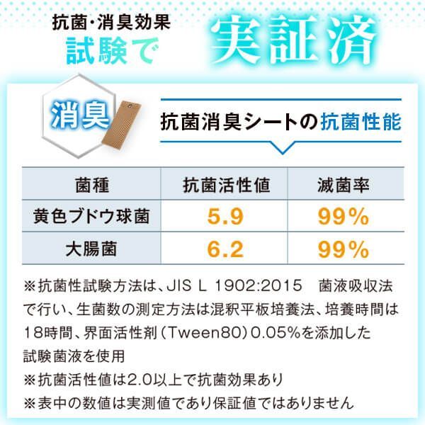 消臭抗菌靴用パッド1足分セット N0164-YA464