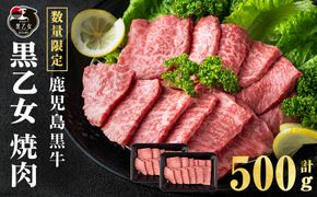 鹿児島黒牛 黒乙女 モモ焼肉 (計500g・250g×2P) a3-234