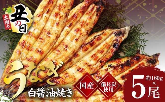 kgp0043-1d 【土用の丑の日までにお届け】国産うなぎ 白醤油焼き 合計800g【160g×5尾 せいろ蒸し 備長炭 鰻 ウナギ 手焼き レンジ 温めるだけ 簡単調理】
