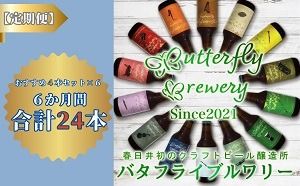 【定期便】楽器シリーズのクラフトビールが毎月１回4本半年間届きます。（計６回）