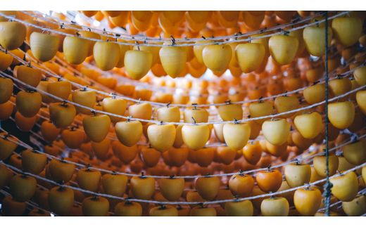 明日 わたしは柿の木にのぼる/しっかりケアセット