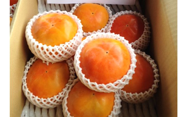柿 富有柿 朝倉産 5kg 16玉～18玉 朝倉りんご園 果物類 かき 