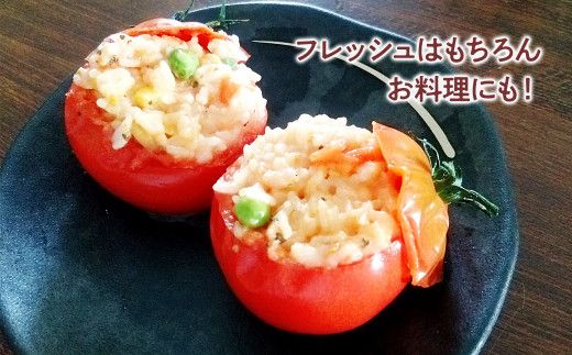 【先行予約】お徳用フルーツトマトＬサイズ 1.2kg・約15玉・Lサイズ〈2027年1月上旬～6月上旬〉 / 糖度8度以上 フルーツトマト ふるーつとまと とまと トマト 箱詰め 甘い 濃厚 高知県 土佐市【池トマト】[BQAG008]