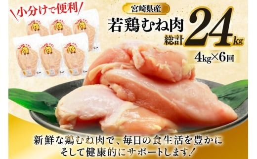 鶏肉 定期便 むね肉 若鶏 鶏むね肉 4kg 6回 総計24kg [ミヤケイフード 宮崎県 美郷町 31bp0015] 鶏むね 鶏胸 むね 冷凍 小分け