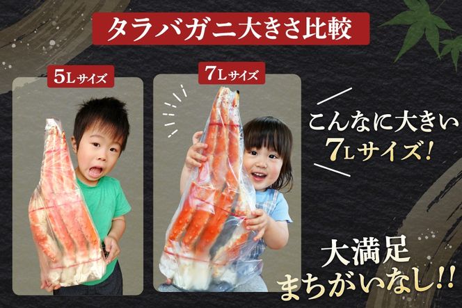 本 タラバガニ 脚 ボイル済 約1.5kg 極太7Lサイズ [カネダイ 宮城県 気仙沼市 20564326] カニ かに 蟹 たらばがに たらば蟹 タラバ蟹 たらば タラバ ボイル