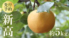 【 2026年9月下旬発送開始 】 茨城県産 梨 新高 （約 5kg ） 6～12玉 フルーツ 果物 なし ナシ 旬 新鮮 甘い 国産 ジューシー みずみずしい 先行予約 [CL005us]	