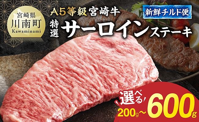 ※グラムが選べる※[A5等級][新鮮チルド便]宮崎牛特選サーロインステーキ [ 肉 宮崎 ステーキ 牛肉 おかず A5 ] [B13204 B13205 B13206]