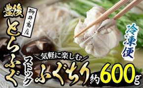 ストックする ふぐちり (約600g・約300g×2袋) 小分け ふぐ フグ ふぐ刺し フグ刺し ふぐ刺身 フグ刺身 刺身 鮮魚 冷凍 国産 大分県 佐伯市【AB97】【柳井商店】