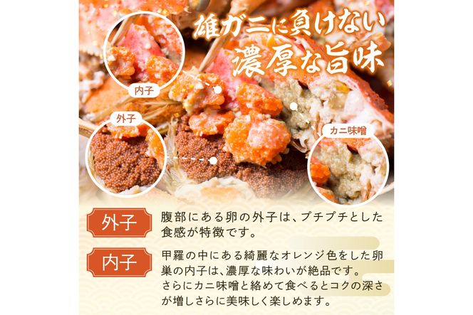 【訳あり】茹でセイコガニ(セコ蟹)(香箱ガニ)(こっぺ)　５匹【冷凍】　TB00035S