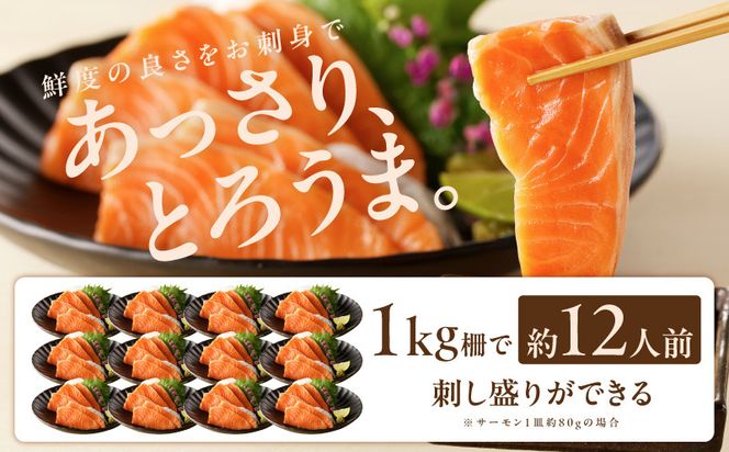 099Z345 サーモン 定期便 1kg×全2回【ポーション 訳あり サイズ不揃い 刺身 海鮮丼 さーもん サラダ カルパッチョ 鮭 さけ シャケ しゃけ 人気 小分け 冷凍 家計応援】