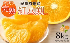 G7105_紀州有田産 木成り完熟 紅八朔 8kg