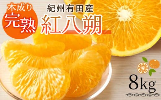 G7105_【2027年先行予約】紀州有田産 木成り完熟 紅八朔 8kg