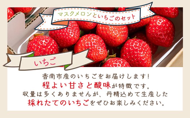 マスクメロン イチゴセット yr-0110