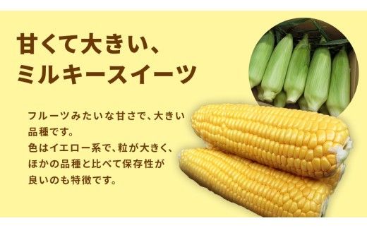 【 産地直送 】 トウモロコシ 「 ミルキースイーツ 」 先行予約 5kg 新鮮 皮付き とうもろこし コーン 野菜 [CZ010ci]