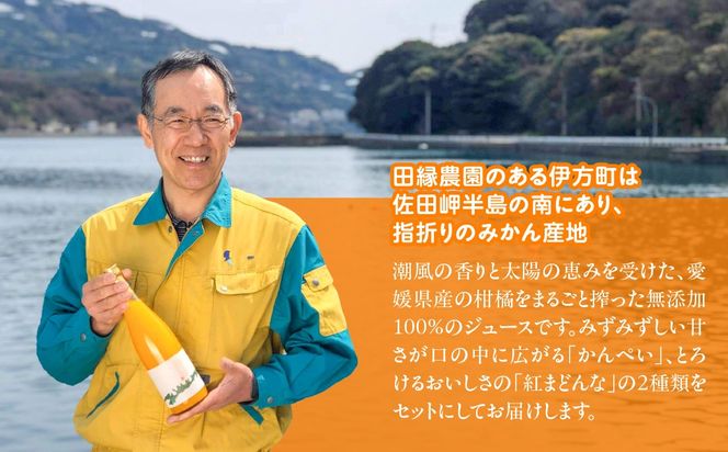 【愛媛県産】田縁農園の無添加100% かんぺい・紅まどんなジュース各3本セット（720ml×6本/かんぺい3、紅まどんな3） ストレート果汁100％ IKTA012