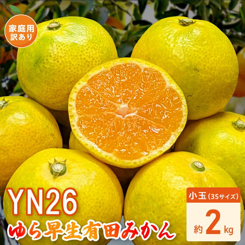 [2026年先行受付]家庭用 YN26 ゆら早生 有田みかん 和歌山 訳あり わけあり 小玉(3Sサイズ) 約2kg
