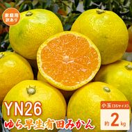DZ6240_【2026年先行受付】家庭用 YN26 ゆら早生 有田みかん 和歌山 訳あり わけあり 小玉(3Sサイズ) 約2kg