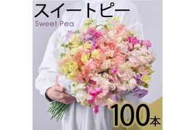 ＜先行予約受付中！2025年12月中旬以降順次発送予定＞門川町産スイートピーミックス(計100本・50本×2束) 花 フラワー ギフト 贈り物 プレゼント 常温 保存 宮崎県 門川町【AL-1】【安田農園】