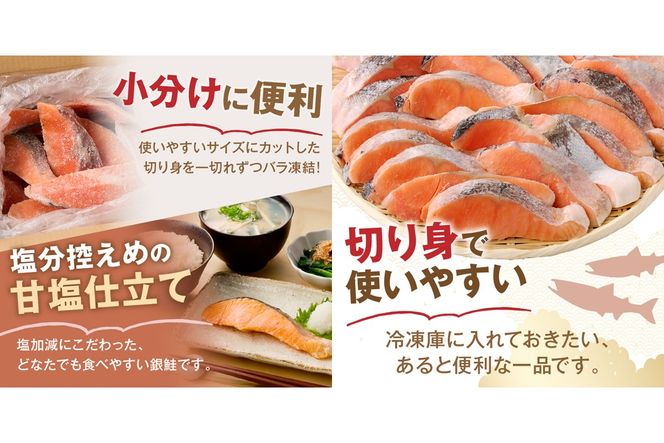 【Z9-024】【訳あり】塩銀鮭切り身 甘塩仕立て(800g)