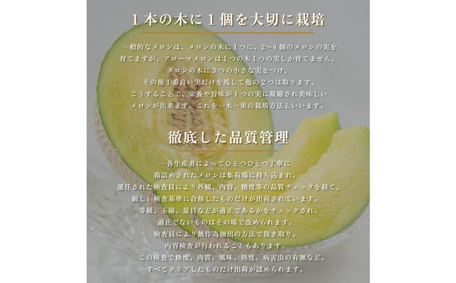 【定期便6ヶ月】『組合直送』アローマメロン1.3kg 222232_DF003
