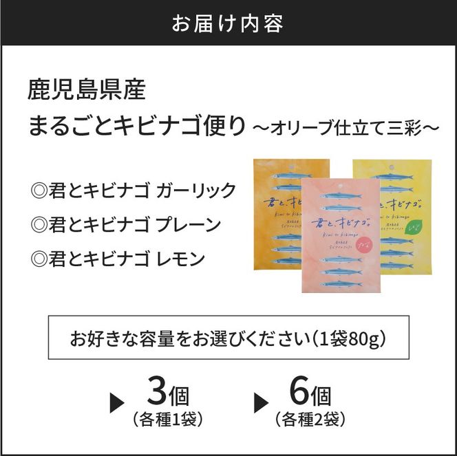 ＜選べる＞ まるごとキビナゴ便り～オリーブ仕立て三彩～ 3個 or 6個 セット　K032-003