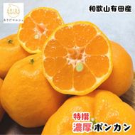【先行予約】極甘 柑橘有田育ちの 濃厚 ポンカン（家庭用）7.5kg+200g(痛み補償分) ※2027年1月上旬～3月上旬に順次発送 ※着日指定不可【ard246A】