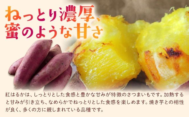 有機JAS認定 紅はるか 選べる 5kg 10kg 農園ベルの樹《12月上旬-3月下旬頃出荷》熊本県 南阿蘇村 さつまいも オーガニック 有機栽培 薩摩芋---sms_blkbhk_12j3g_r7_11500_5kg---