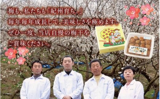 紀州南高梅　うす塩【ハチミツ入】 塩分5%（750g）なかやまさんちの梅干 / うめ ウメ 梅干し【nky005-175k】